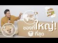 Unbox Us ของใช้หมาแมวที่ใหญ่ที่สุด!!! 