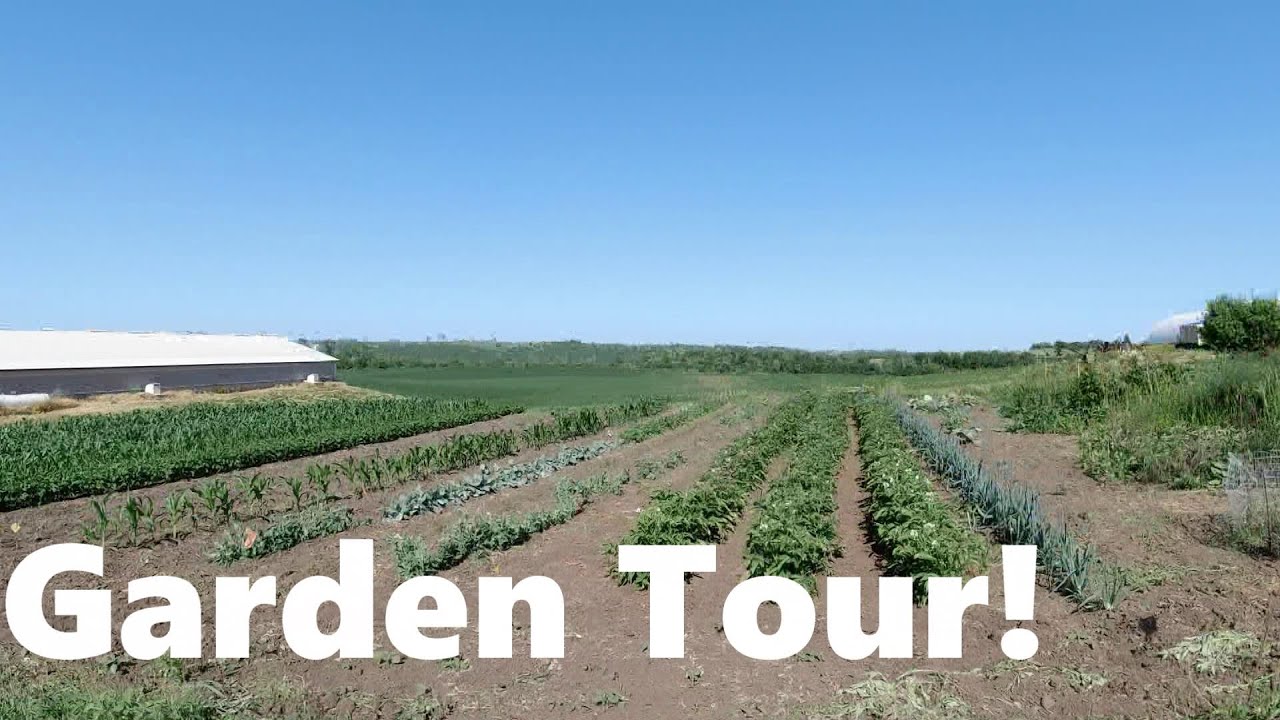 Garden Tour! YouTube