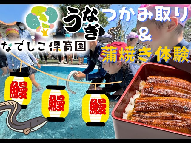 ウナギのつかみ取り