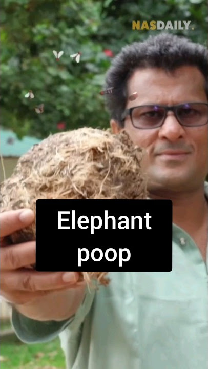 Nas daily memes 42