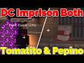 Dark Cucurucho Imprisons Tomate &amp; Pepino in Foolish's Prison on QSMP 2 Minecraft