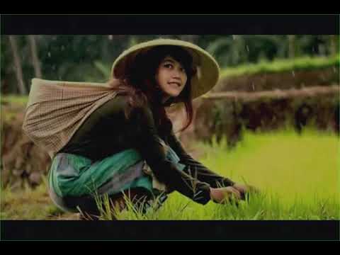 Full Album Demi Kau dan Si Buah Hati