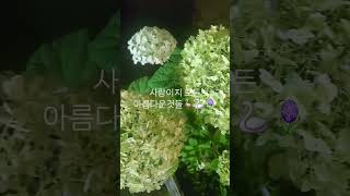 #nature #oldies but goodies #추억의팝송 #올드팝듣기 #프리티우먼~~~it must have been love