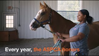 ASPCA HAL Winners 2022 Teaser