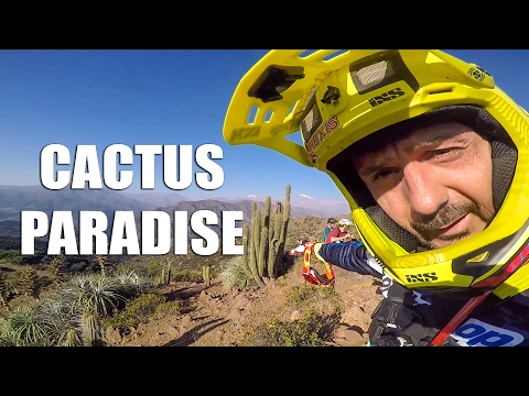 ANDES PACIFICO 2017 : First RIDE in PARADISE. Watch Out For Cactus ! - CG VLOG #67