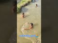 swimming pool #comedy #funny #snakevssnake #arsenal #cricketlover #india #cricket #ipl