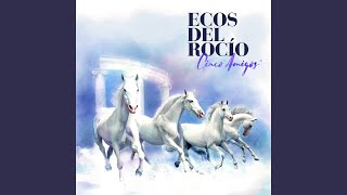 Download Mp3 Como puedo yo Gudang lagu Download Mp3 Como puedo yo