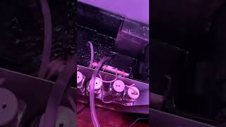 How I change Grobo Water/Nutrients￼ with out Grobo App. #nutrition #grobo #hydroponics #update