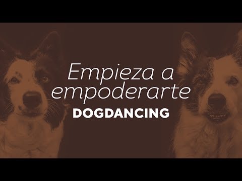 candancedogdancing