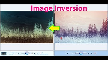 How to Invert the Image Colors Using Python