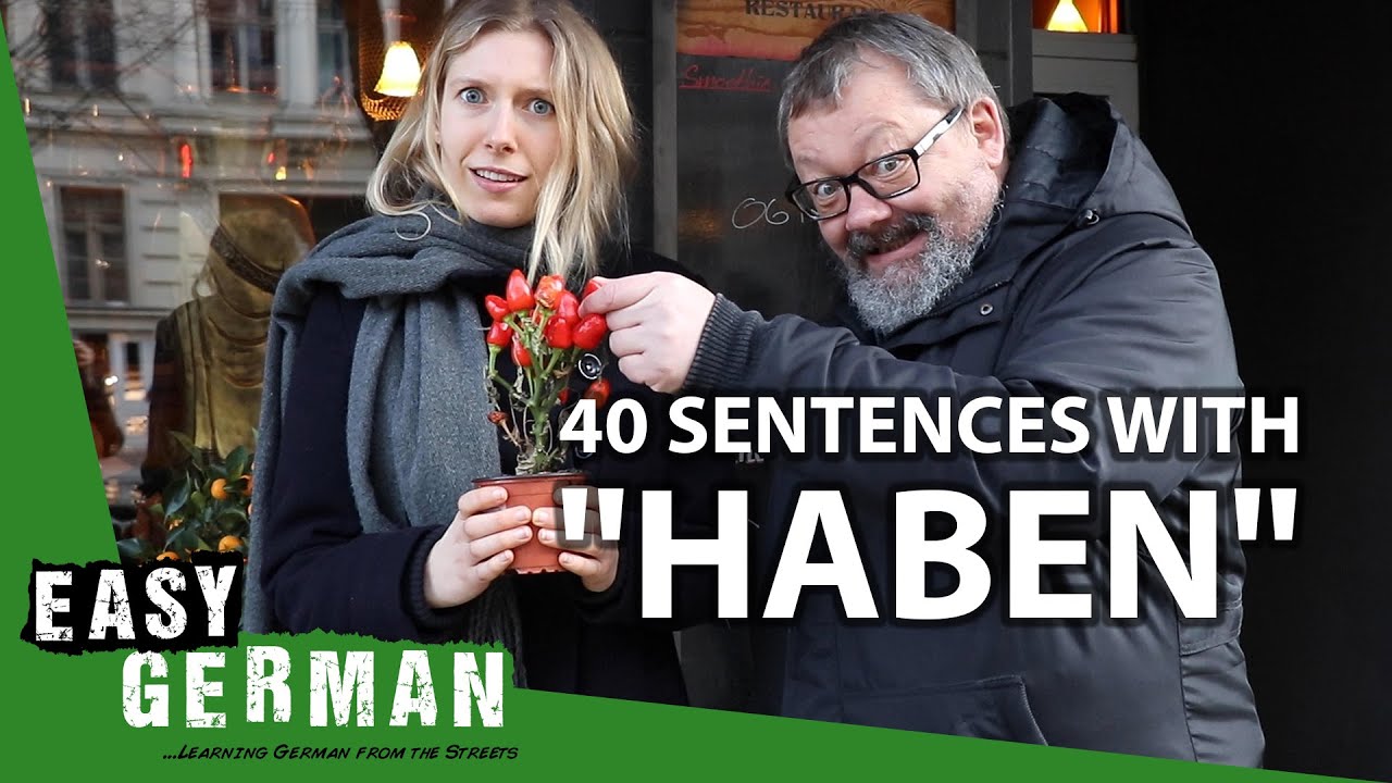German lesson: to have (English CC) | Haben | Deutsch Lernen |