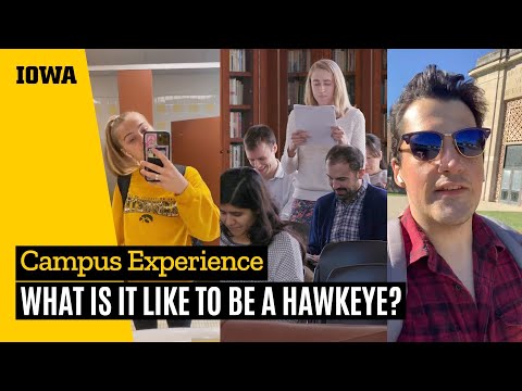 What is it like to be a student at the University of Iowa?