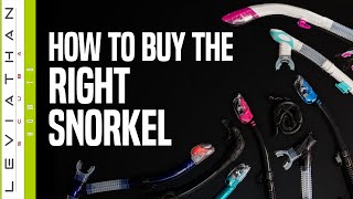 How to Buy the Right Snorkel