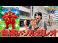 ソルガレオ色違いが激レア過ぎるのでどうしても捕まえたい男【ポケモンGO】