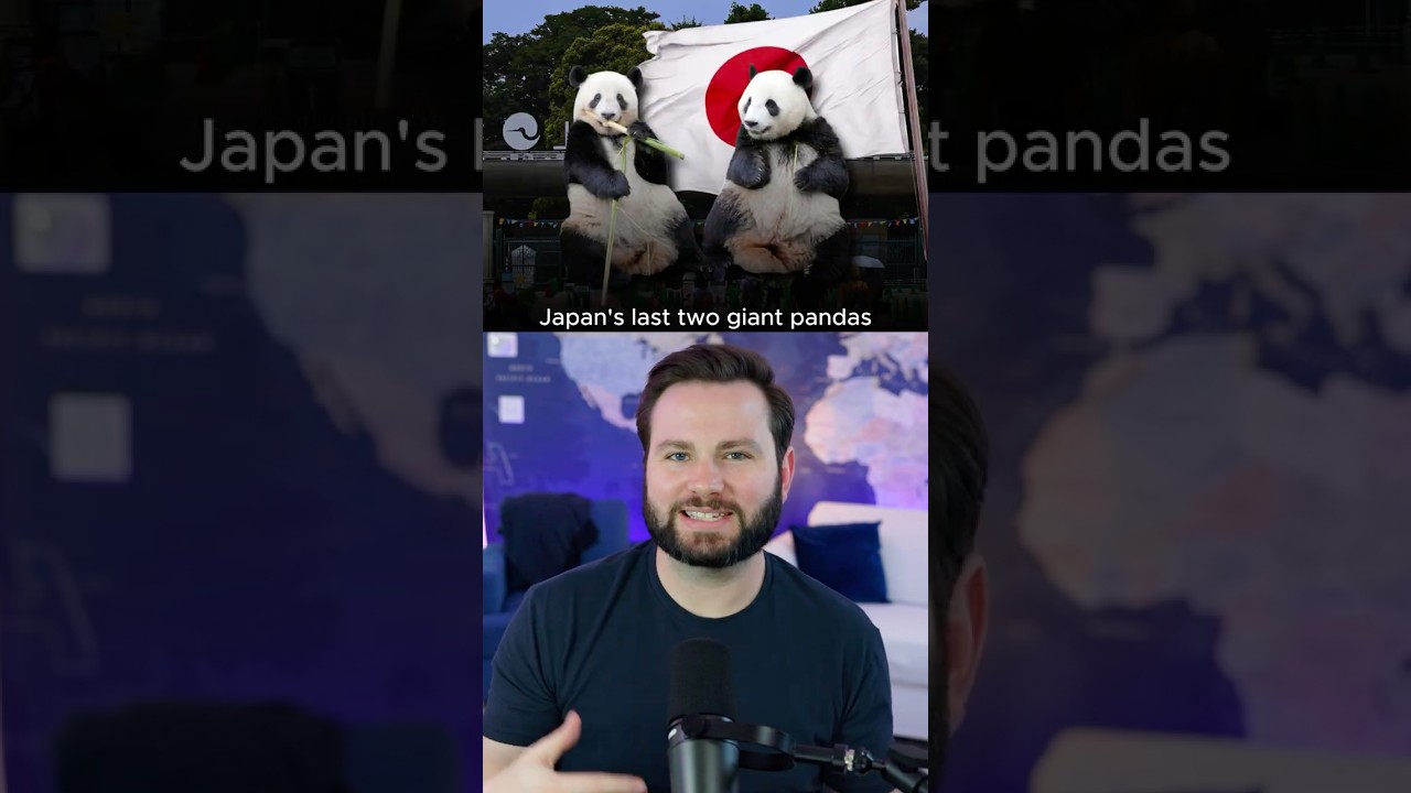 What’s Going On In The World - PART 5
