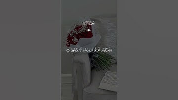 إن الذين كفروا سواء عليهم أأنذرتهم _فارس عباد  _ سورة البقرة