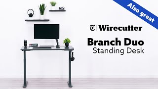 This Standing Desk Was Picked By Wirecutter...