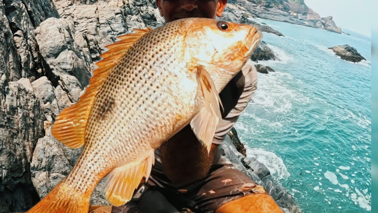 Fishing from a cliff in south Asia and we GOT Dinner!