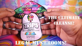 MORE Legal #mushrooms  Spores MD TRIPS - The ULTIMATE Cleanse! #sporesmd #spores