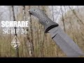 Couteau schrade schf 36