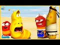 Larva season 3 episode 127~242 | cartoon box top 100 | best cartoon collection | try not to laugh
