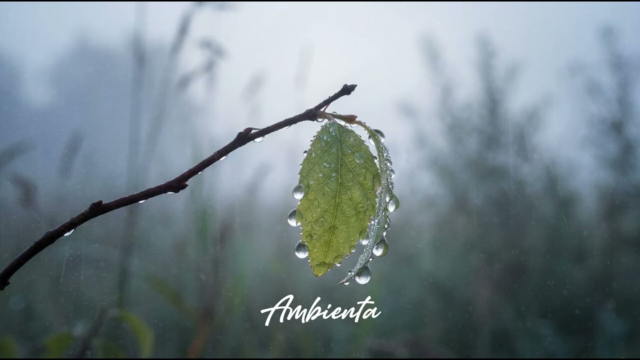 Relaxing Piano Music For Stress And Anxiety | Ambienta