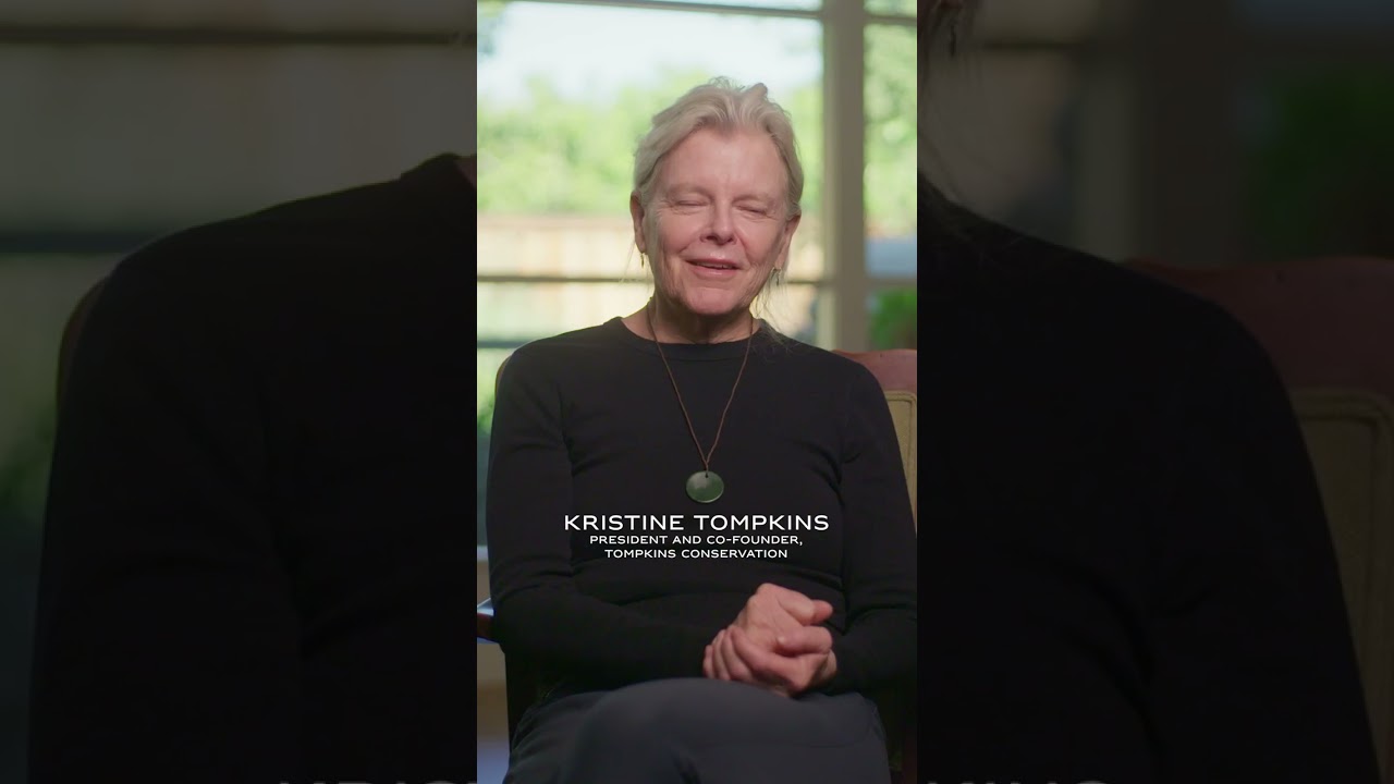 Rolex Perpetual Planet Initiative Presents – The Foundations: Rewilding Chile & Rewilding Argentina