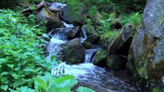 Ultimate Dripping Water Relaxation Sound | Soothing Ambiance for Stress Relief