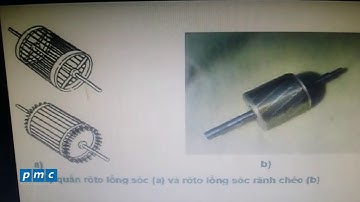 So sánh động cơ roto dây quấn và roto lồng sóc