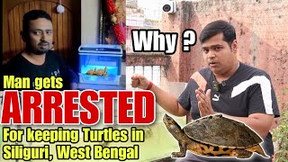 TURTLE LEGAL OR NOT || CAN WE KEEP TURTLE AT HOME ? HOW CAN WE KEEP TURTLE AT HOME