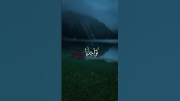 القارئ محمد صديق المنشاوي #لايك #اكسبلور #الخليج