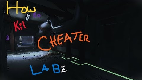 How To Kill a Cheater on Labs