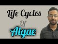 Life Cycles of algae with diagram | diplontic haplontic and haplodiplontic isomorphic lifecycle