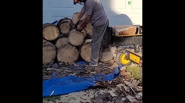 Ported Echo 355T Burried in a Firewood Block, better view.