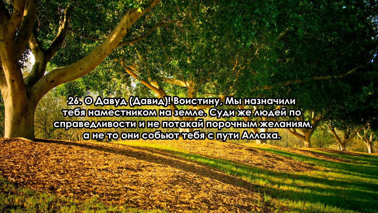 Сура 38. Сад с 1 по 40 аят.