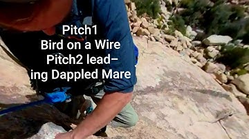 Cleaning Bird on a Wire into trad leading Dappled Mare in Joshua Tree (360 VIDEO)