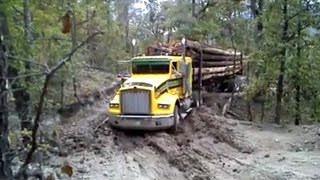 Camiones troceros cargados subiendo terrenos pantanosos