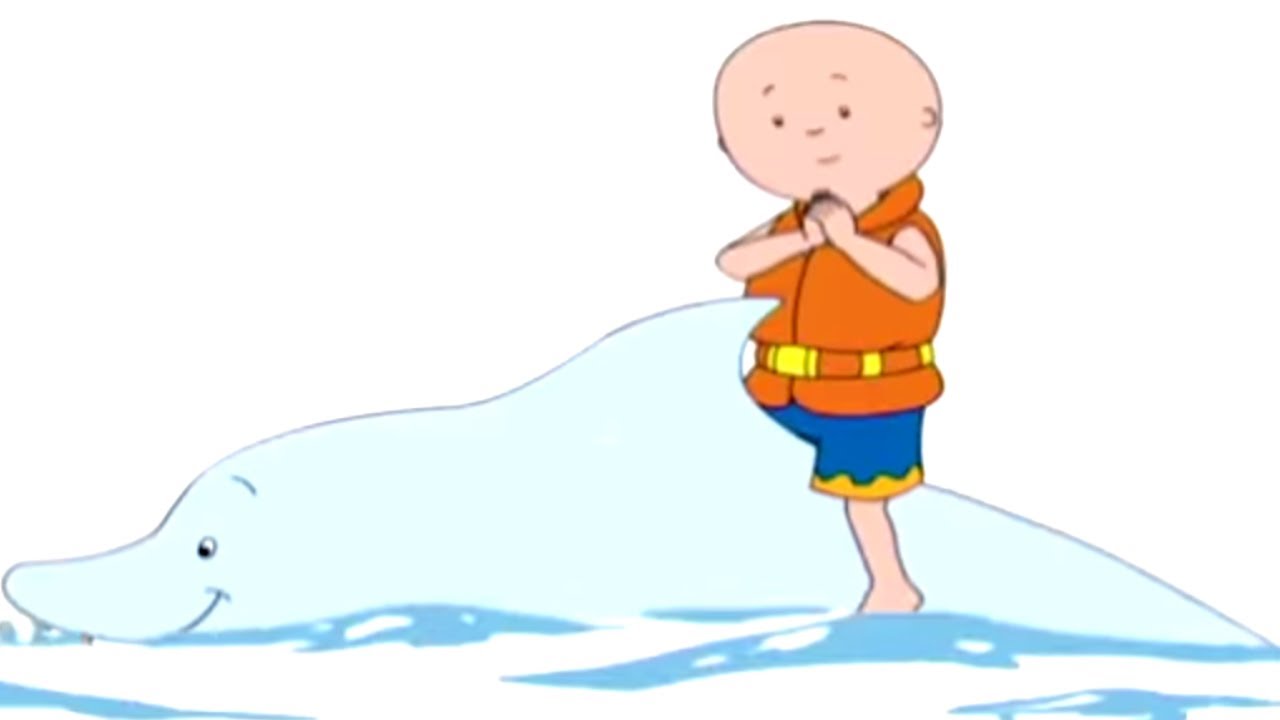 Caillou em Português | Caillou e o Golfinho | 411 | Nova Temporada | Desenho Animado
