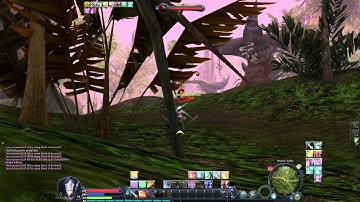 Aion Attack Speed Hack/Bot 1080p