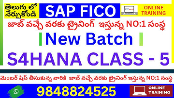 Global Settings Configuration in Telugu | SAP FICO Training