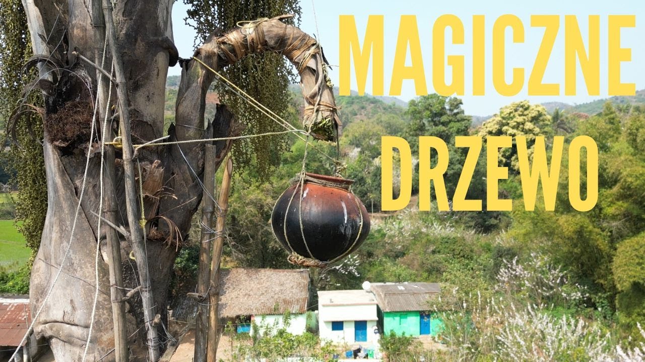 To naprawdę płynie z drzewa !!! - Poznaj sekret magicznej rośliny z indyjskiej dżungli I Orisa #9