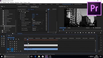 Surveillance Camera Effect - Premiere Pro CC 2017 (ITA/ENG)