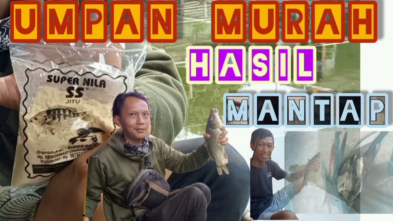 UMPAN IKAN MAS DASARAN SUPER NILA SS // UMPAN MURAH HASIL MANTAP ❗ @kencehbandung8829