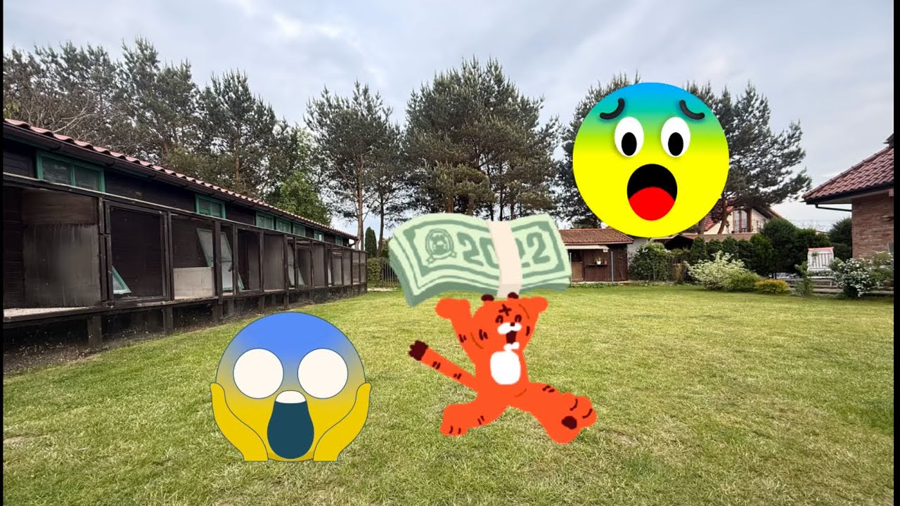 UWAGA ⛔️ NA OSZUSTÓW ‼️‼️+ PRZED NAMI LOT NR 5.