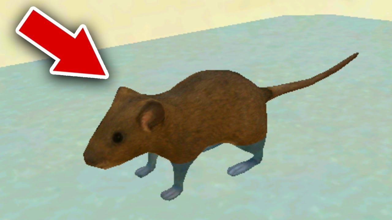 Где весь сыр в симуляторе мыши. Мышь из симулятор мыши. Мышь из симулятор мыши 3d. Симулятор мыши мышонок подрос. Симулятор мыши 1000 уровень