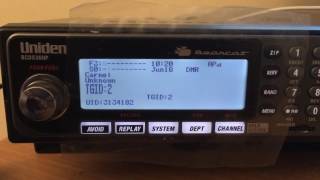 BCD536 DMR Preview 4