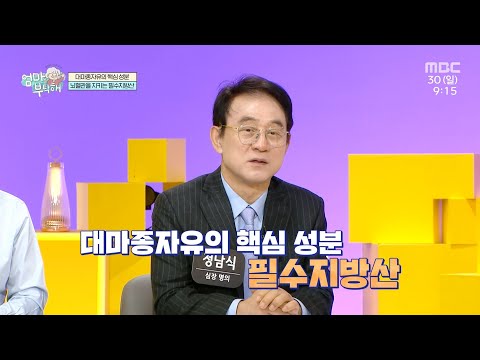 뇌혈관을 지키는 <strong>필수지방산</strong>, MBC 250330 방송