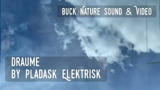 【週末限定値下げ】pladask elektrisk DRAUME 週末限定値下げ】pladask elektrisk DRAUME 週末限定値下げ