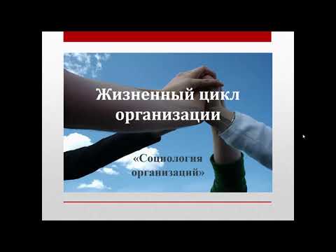 Жизненный цикл организации: что это такое?