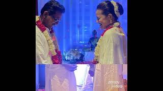  Tina Dabi New  Wedding wadding